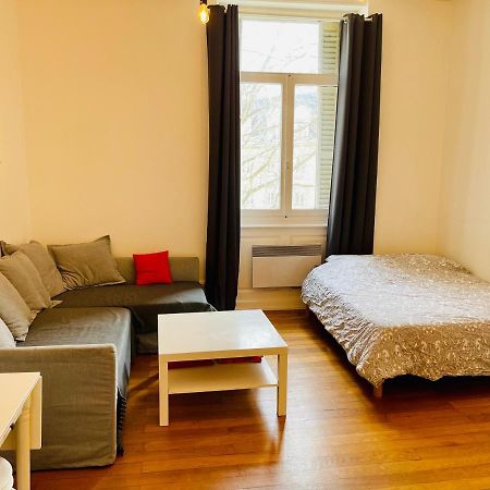 Apartmán Studio Cosy De 28M2 Au Centre De Štrasburk Exteriér fotografie