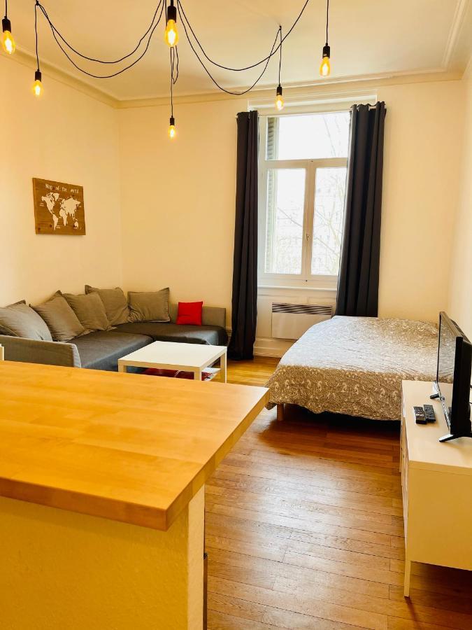 Apartmán Studio Cosy De 28M2 Au Centre De Štrasburk Exteriér fotografie